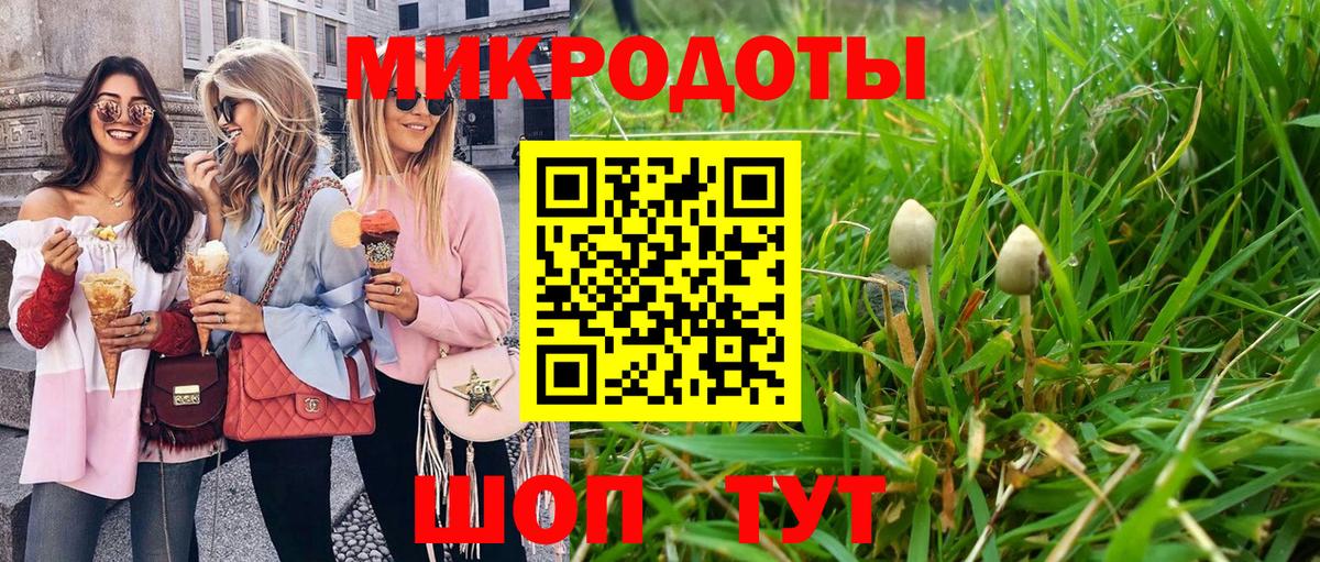 Псилоцибиновые грибы ЛСД Коммунар