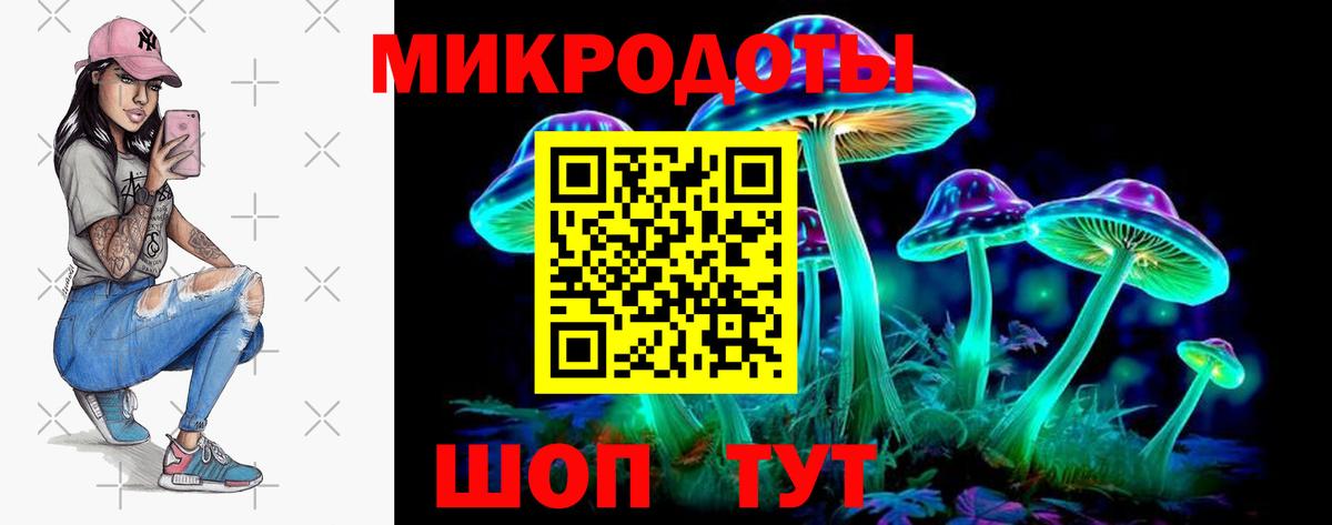 Коммунар  Галлюциногенные грибы Psilocybine cubensis  Вход с VPN  Псилоцибиновые грибы мухоморы 
